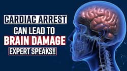 Cardiac Arrest: How Cardiac Arrest Can Lead To Brain Dysfunction, Expert Speaks, Watch Video