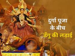 दुर्गा पूजा के दौरान बढ़ सकते हैं डेंगू और मलेरिया के मामले, बंगला सरकार ने सस्ता किया इलाज और दिए गाइडलाइन