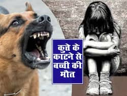 Kerala news: कुत्ते के काटने से 12 साल की बच्ची की मौत, वैक्सीन लेने के बाद भी मासूम ने गंवाई जान