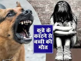 Kerala news: कुत्ते के काटने से 12 साल की बच्ची की मौत, वैक्सीन लेने के बाद भी मासूम ने गंवाई जान