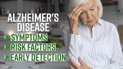 Alzheimer Disease: How Early Detection Of Alzheimer's Can Be Done, Expert Speaks, Watch Video