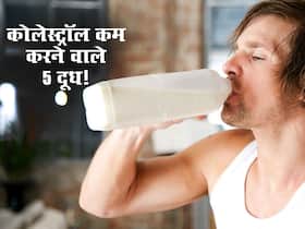 हाई कोलेस्ट्रॉल को कम करने के लिए सुबह पिएं ये 5 तरह के दूध! सेहत बनेगी लेकिन नसों में कोलेस्ट्रॉल नहीं