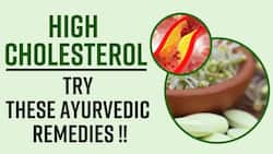 Ayurvedic Remedies For High Cholesterol: Know What Ayurveda Suggest For Bad Cholesterol Level, Watch Video