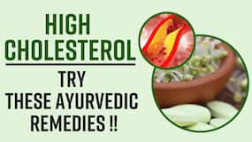 Ayurvedic Remedies For High Cholesterol: Know What Ayurveda Suggest For Bad Cholesterol Level, Watch Video