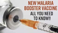 Malaria Vaccine: R21/Matrix Vaccine Found For Malaria By The Scientists, To Know More, Watch Video