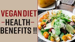 Vegan Diet: How Turning Vegan Can Transform Your Life, Know Magical Benefits, Watch Video
