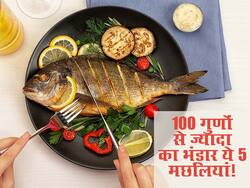 100 से ज्यादा गुणों का भंडार हैं ये 5 तरह की मछलियां! सर्दियां आते ही खाना कर दें शुरू, रहेंगे पूरे सीजन तंदरुस्त
