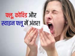 कोविड, नॉर्मल फ्लू और स्वाइन फ्लू के लक्षणों में अंतर कैसे पहचानें? एक्सपर्ट से जानें लक्षण और बचाव के उपाय
