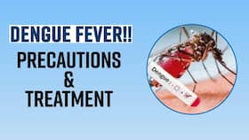 Dengue Fever: Rise In Dengue Cases, Know The Necessary Precautions & Treatment, Watch Video