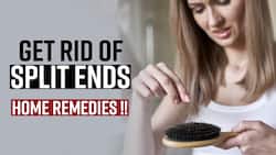 Natural Treatment For Split Ends: How To Get Rid Of Split Ends At Home, Easy Tips For Hair-Care, Watch Video