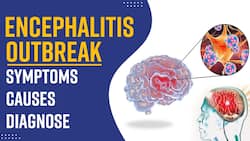Acute Necrotizing Encephalitis: Encephalitis Outbreak In Kanpur, Know The Causes & Symptoms, Expert Speaks, Watch Video