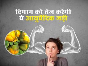 इस आयुर्वेदिक पौधे से तेज होगा दिमाग और बढ़ेगा फोकस, जानें क्या है इस खास जड़ी को इस्तेमाल  करने का तरीका