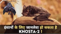Corona Virus: रुस में Khosta -2 नाम का नया कोरोना वायरस चमगादड़ों से मिला, इंसानों के लिए बन सकता है बड़ा खतरा, Watch Video