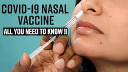 Covid-19 Nasal Vaccine: India   s First Nasal Covid-19 Vaccine, Only For Emergency Use, For Those Above 18 Yrs, Watch Video