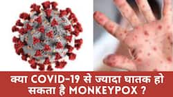 Monkeypox Cases: क्या कोविड से ज्यादा है मंकीपॉक्स का खतरा, डॉक्टर से जानें मंकीपॉक्स के इलाज के बारे में, Watch Video