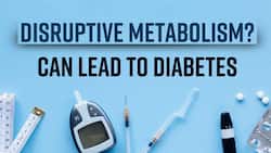 Diabetes & Metabolism: How Disruptive Metabolism Can Lead To Diabetes, What WHO Claims About This Interrelation, Watch Video