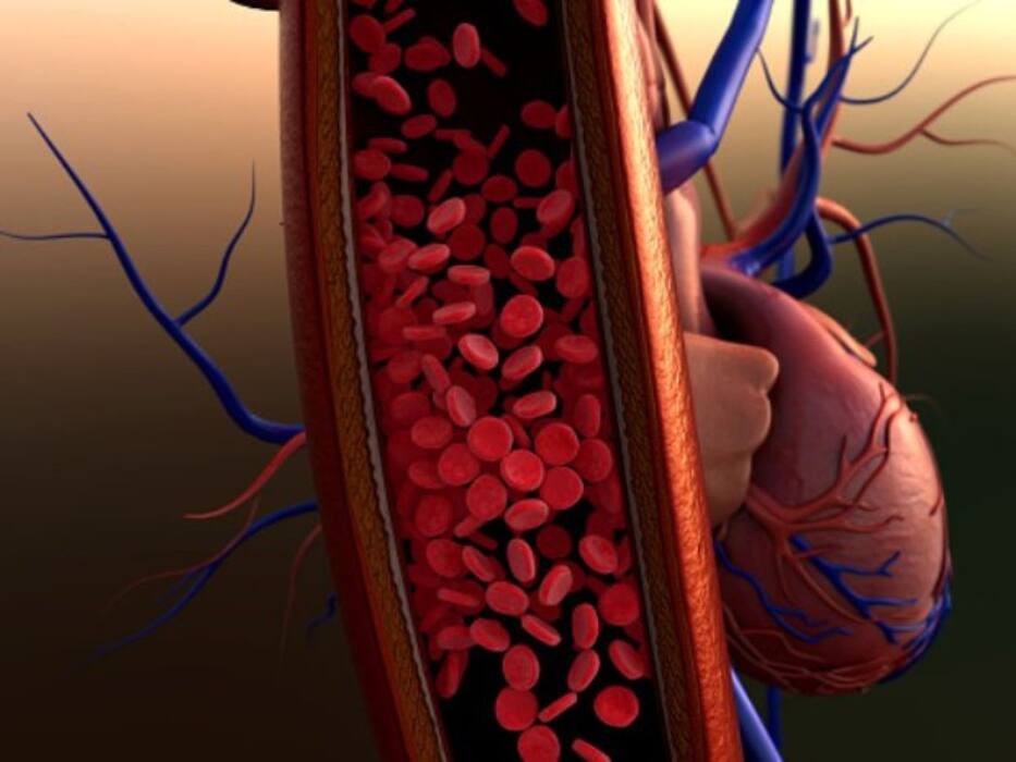 ब्लड सर्कुलेशन का ठीक रहना क्यों जरूरी है, जानिए खराब Blood Circulation के कारण, लक्षण और ठीक करने के उपाय