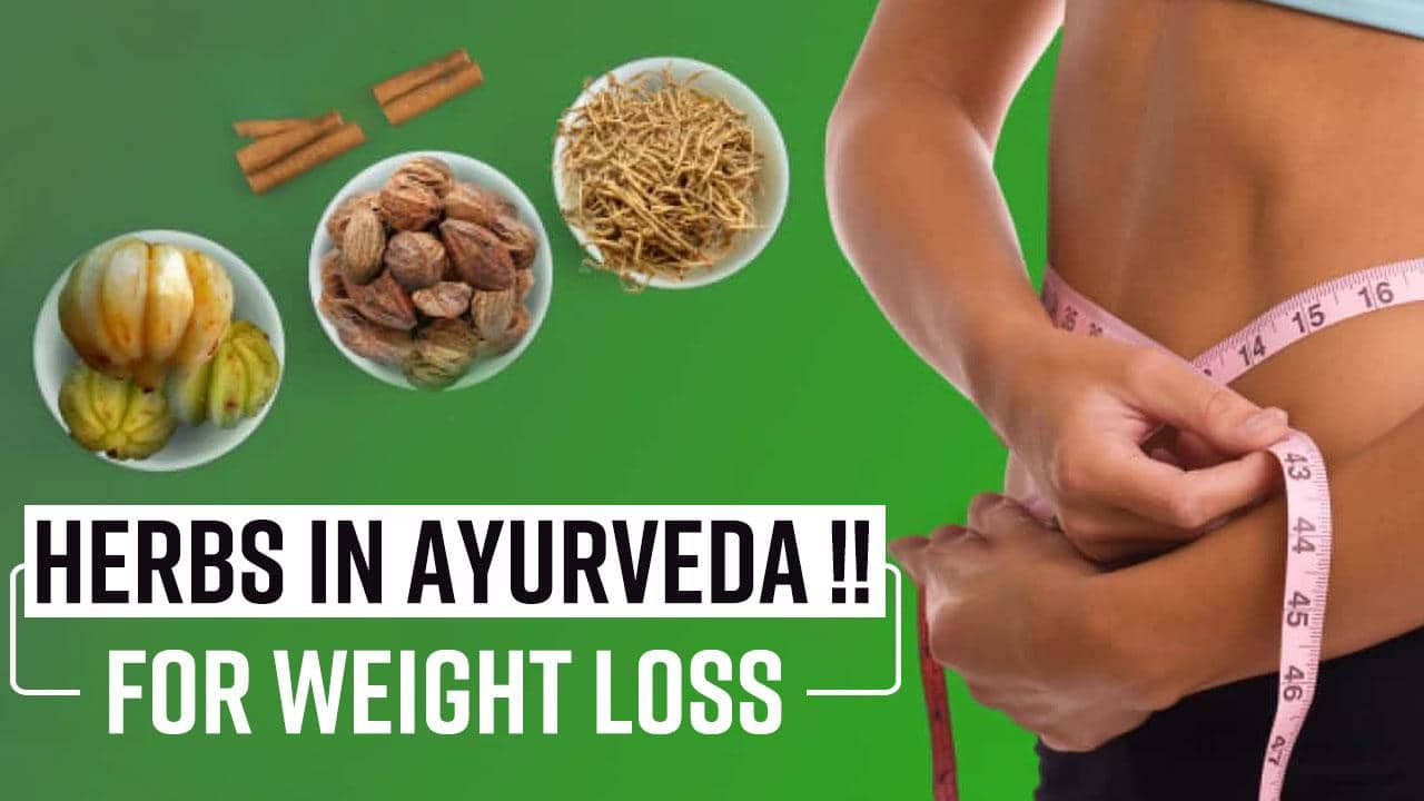 Ayurvedic Herbs For Weight Loss: Know It From The Expert How To Loose ...