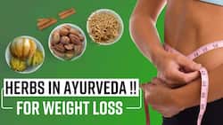 Ayurvedic Herbs For Weight Loss: Know It From The Expert How To Loose Weight & Improve Metabolism, Watch Video