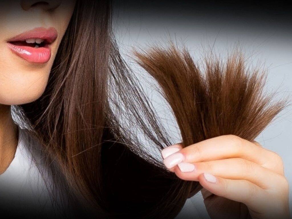 Split End Hair Problem Remedies For Hair Split Ends How To Stop Splitting  Naturally | Remedies For Split Ends Hair: नहीं दिखेगा एक भी दोमुंहा बाल,  बालों पर लगाएं ये चीजें