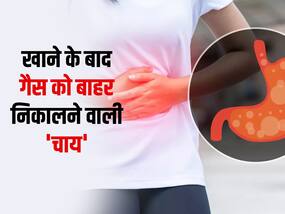 ज्यादा खाने के बाद लगे पेट भारी-भारी तो पिएं ये 5 डिटॉक्स ड्रिंक! तुरंत निकल जाएगी पेट में भरी 'गैस'