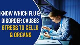 Covid-19 & Health Problems: Know How Covid-19 Can Cause Stress To Cells In Our Body, Respiratory Problems That Can Occur, Watch Video