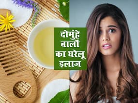 Split Ends: दो-मुंहे बालों की प्रॉब्लम से चाहते हैं छुटकारा तो आजमाएं दादी-नानी के ये नुस्खे, मिलेगा नेचुरल इंग्रीडिएंट्स का फायदा