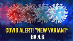 New Covid-19 Variant Found: How Dangerous Is The BA.4.6 Omicron Variant, Watch Video