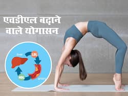 Yoga for cholesterol: अच्छे कोलेस्ट्रॉल को तेजी से बढ़ाते हैं ये 3 योगासन, जाने किस समय करना रहेगा सबसे बेस्ट
