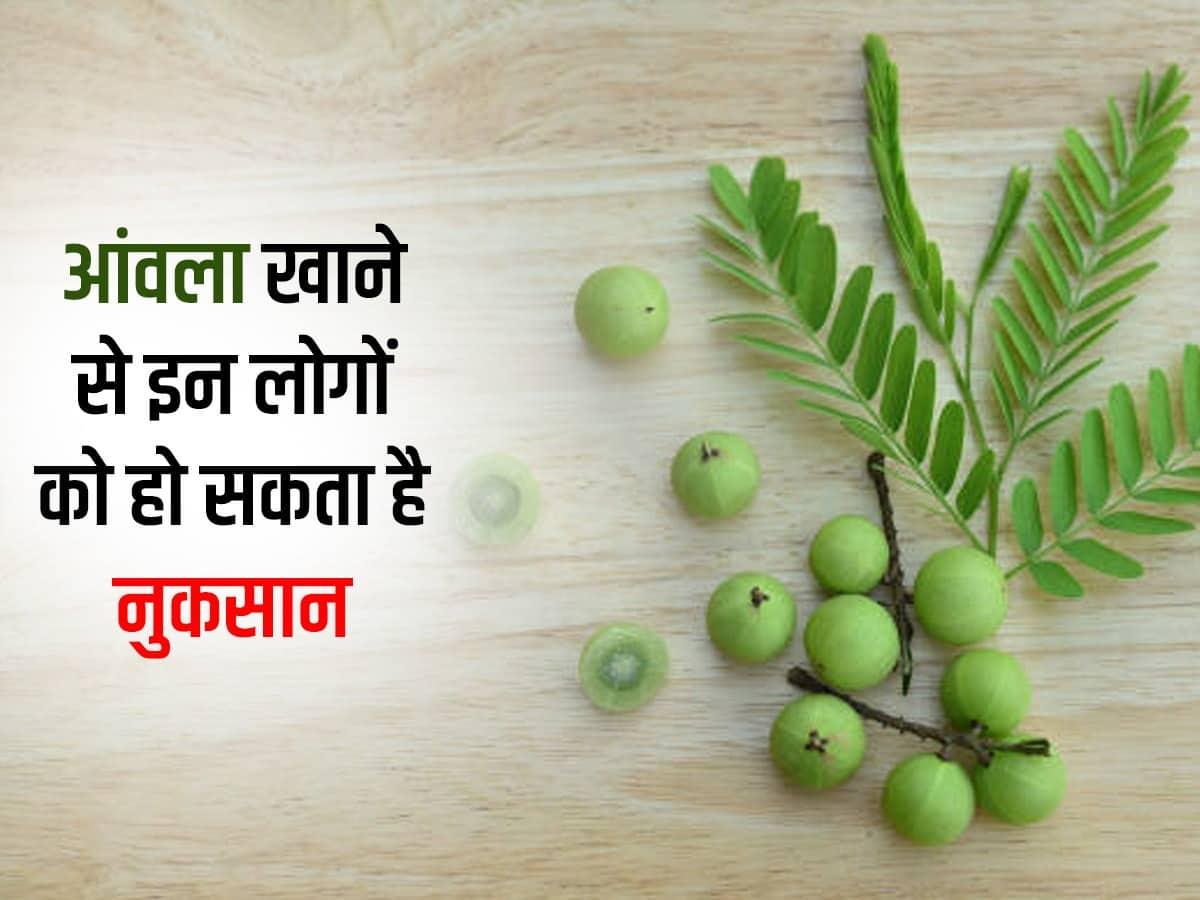 Amla benefits clearance hindi