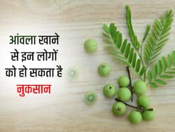 हेल्दी होने के बावजूद इन 5 तरह के लोगों को नहीं करना चाहिए आंवले का सेवन, हो सकते हैं नुकसान