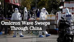 China Under Lockdown: 25 Million Shangai Residents To Face Severe Curbs Amid Spike In COVID Cases