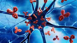 Do You Experience Random Bruising? Learn About This Autoimmune Blood Disorder