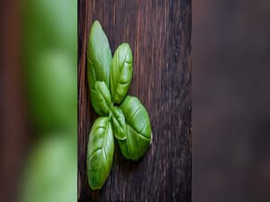 Bring Home These Healing Greens