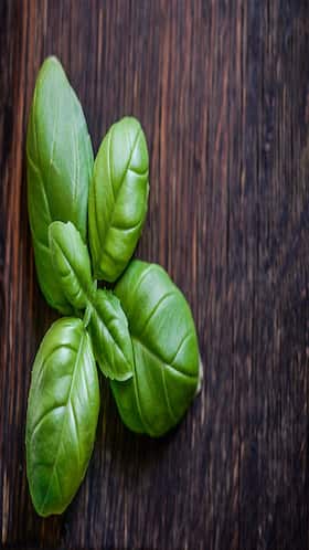 Bring Home These Healing Greens