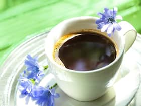 4 Reasons Why Chicory Coffee Is A Better Alternative To Regular Coffee 4 Reasons Why Chicory Coffee Is A Better Alternative To Regular Coffee