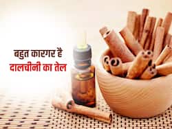 एलर्जिक राइनाइटिस और माइग्रेन समेत इन 5 समस्याओं में कारगर है दालचीनी का तेल