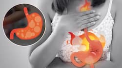 Bloating And Acidity: 5 Herbs That Can Help With Digestive Issues