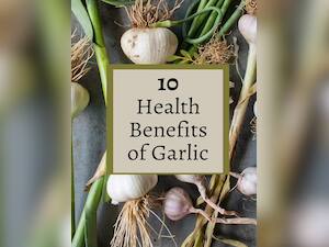 5 Amazing Health Benefits of Eating Garlic Every Day