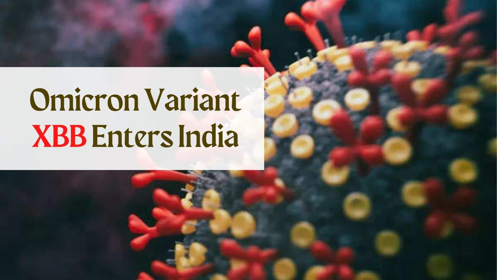 New Omicron Variant XBB Enters India Maharashtra Government Warns of