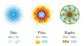 Vata, Pitta, Kapha: Understanding Ayurveda Doshas of Different Body Types