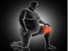 Being Overweight Or Obese Is A Major Risk Factor of Knee Problems: How To Maintain An Optimum Weight Being Overweight Or Obese Is A Major Risk Factor of Knee Problems: How To Maintain An Optimum Weight