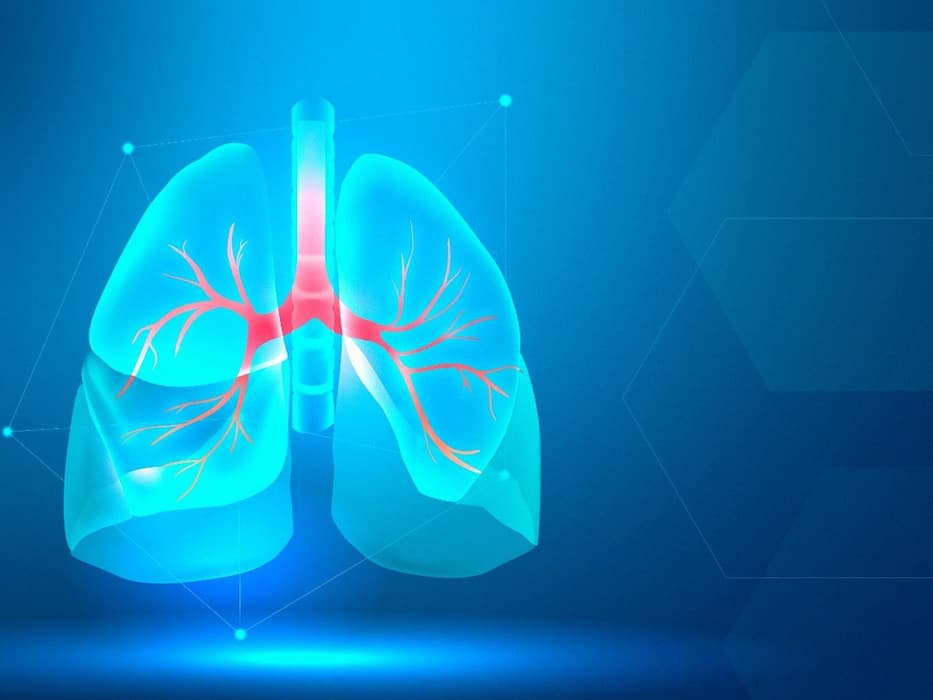 वायु प्रदूषण से होने वाली बीमारियां: इन 5 गंभीर रोगों के लिए जिम्मेदार है Air Pollution