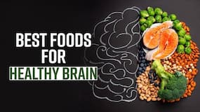 Healthy Brain: Know The Foods You Should Have For A Healthy Brain, Watch Video