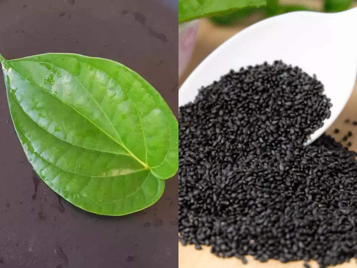 Benefits Of Eating Betel Leaves With Basil Seeds