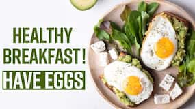 Benefits Of Eggs: Amazing Benefits Of Having Eggs In Breakfast, Watch Video