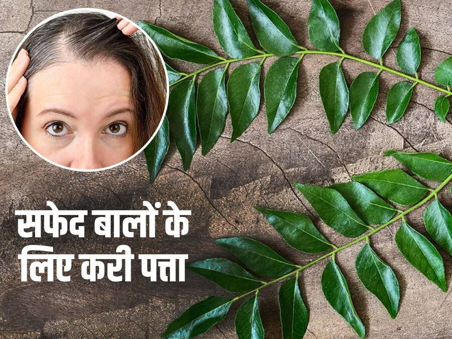 सफेद बालों को काला करने के लिए इन 5 तरह से इस्तेमाल करें करी पत्ता