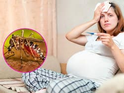 बिहार के इस शहर के सभी इलाकों में फैल चुका है डेंगू, 150 से ज्यादा पुलिसकर्मी संक्रमित और गर्भवती महिलाओं को किया सावधान