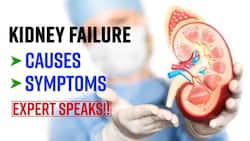 Kidney Failure: Know The Symptoms & Causes Of Kidney Disease From The Expert, Watch Video