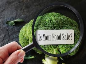 Fake Pesticides Can Cause Cancer, Alzheimer   s: When The Antidote Becomes Poison To Human Lives